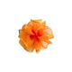 03_orange